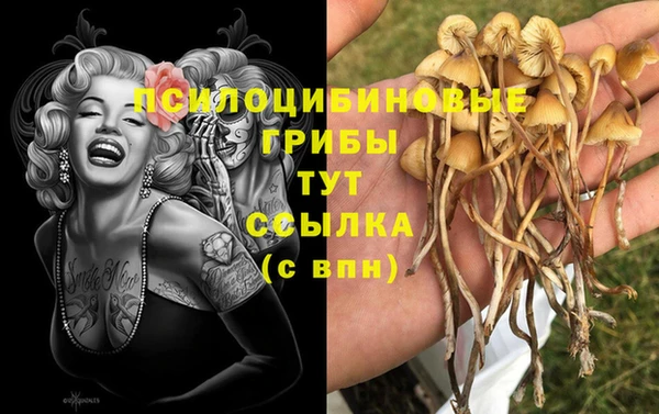 apvp Калининец
